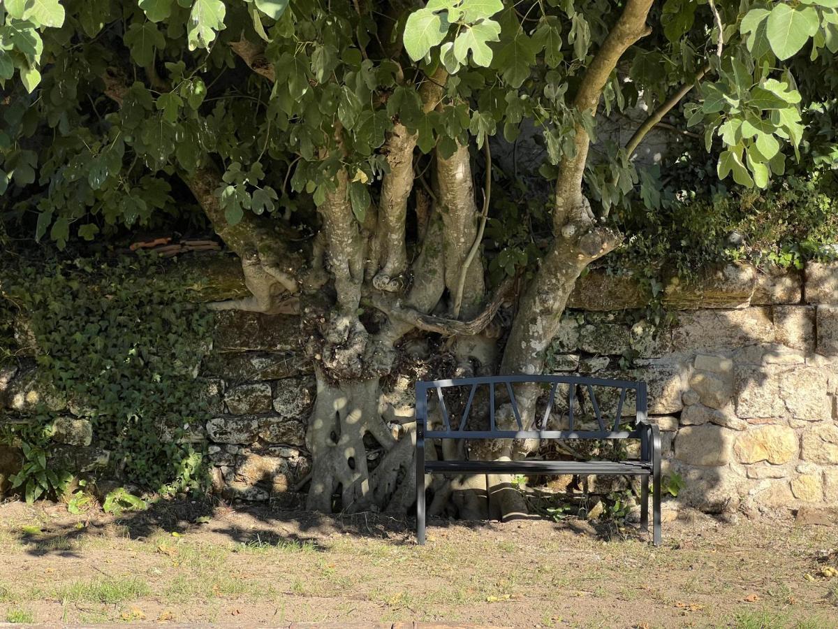 Saint-Sulpice-de-Faleyrens Gite Avec Piscine, Chateau De Lescours, St-Emilion מראה חיצוני תמונה